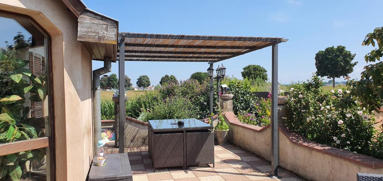 Maison De Vacances Avec Piscine, Proche Strasbourg Et Europa Park Sand Exterior foto
